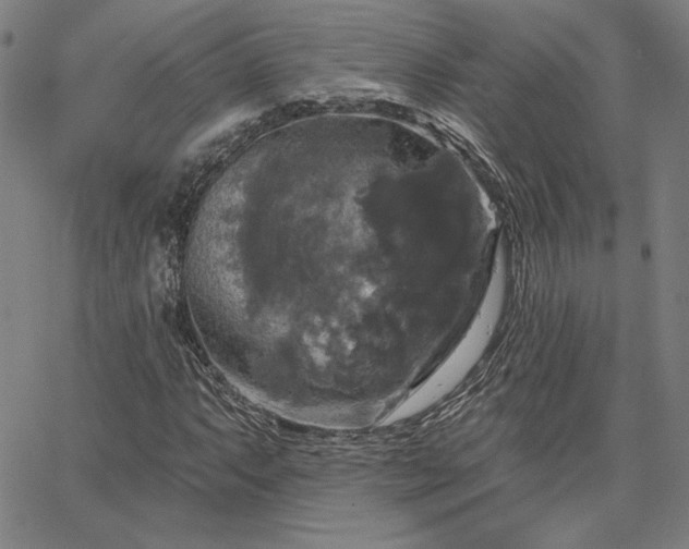 X0000067881063200604201237