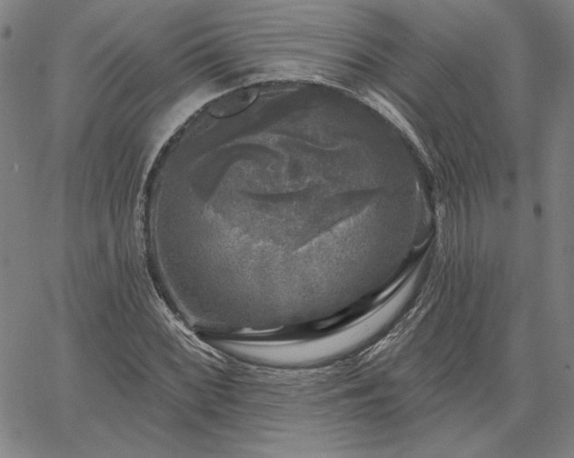 X0000067881068200604201237