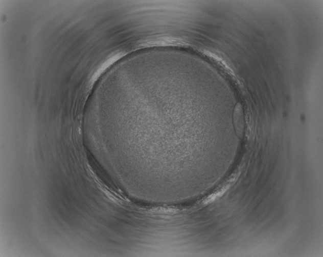 X0000067881073200604201237