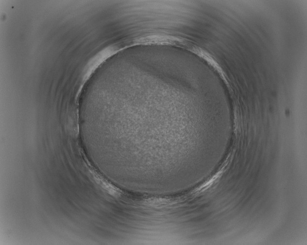 X0000067881075200604201237