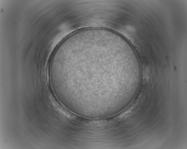 X0000067881078200604201237