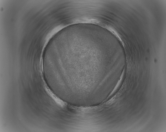X0000067881080200604201237