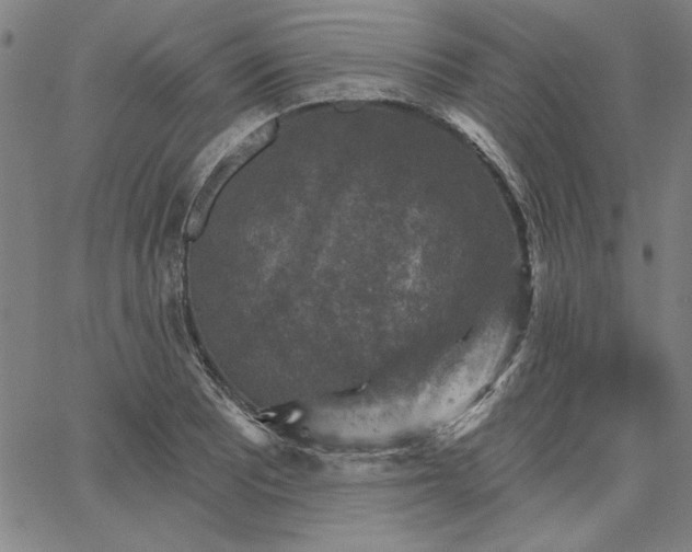 X0000067881081200604201237