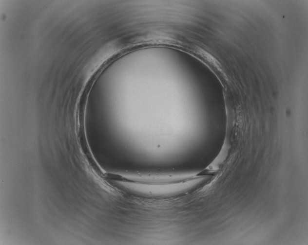 X0000067881082200604201237