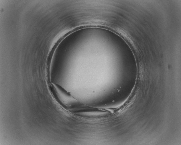 X0000067881085200604201237