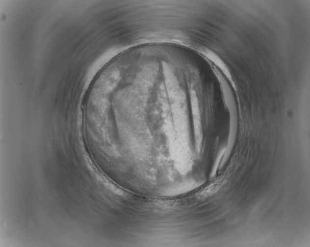 X0000067881096200604201237