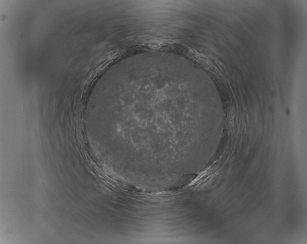 X0000067881105200604201236