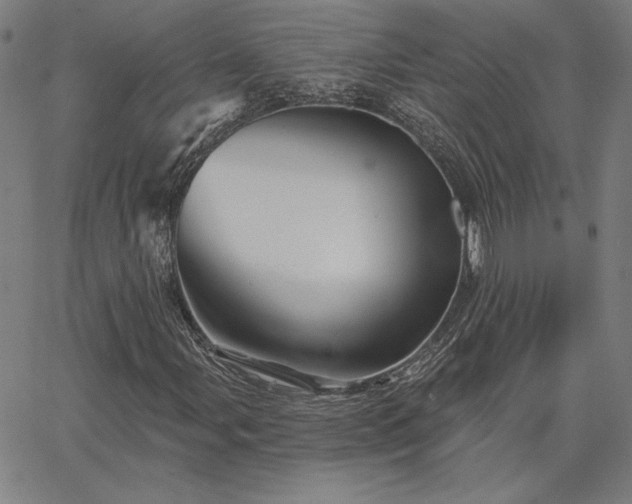 X0000067881107200604201236