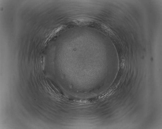 X0000067881108200604201236