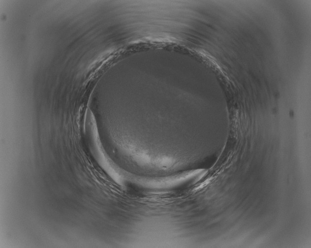 X0000067881110200604201236