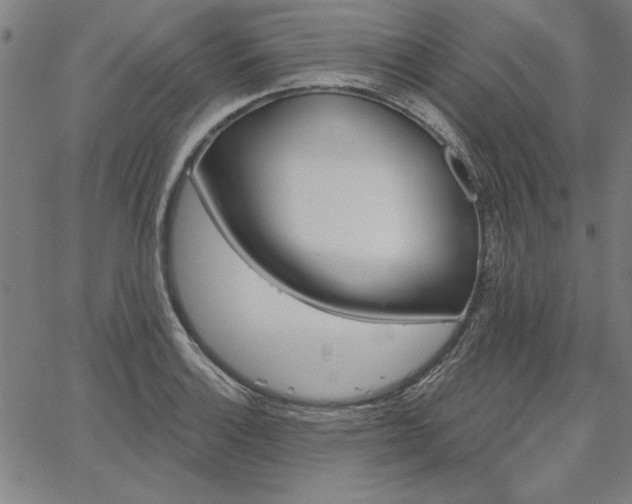 X0000067881132200604201236