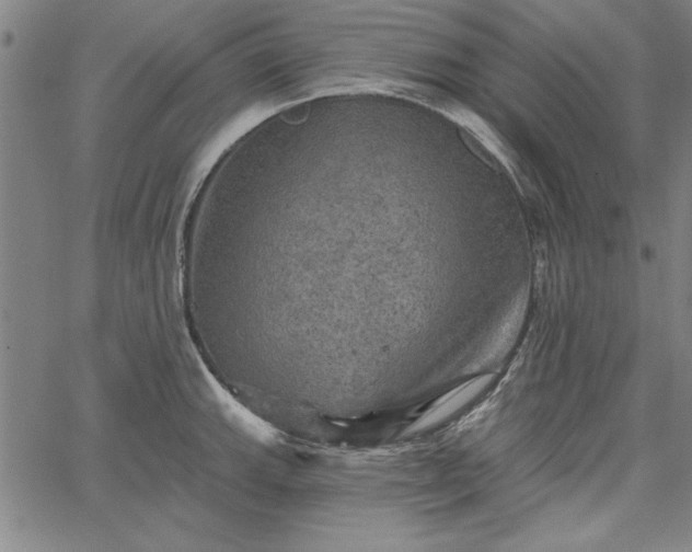 X0000067881143200604201237