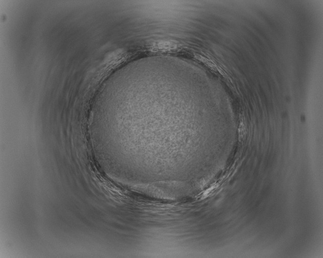 X0000067881153200604201236