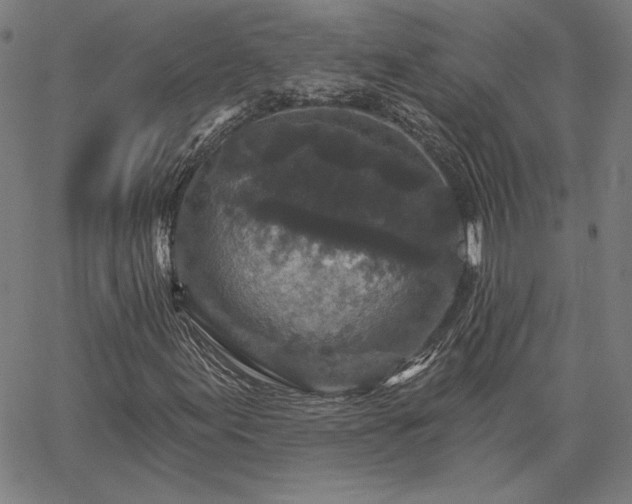 X0000067881155200604201236
