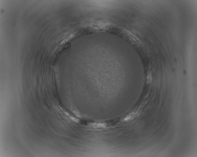 X0000067881156200604201236
