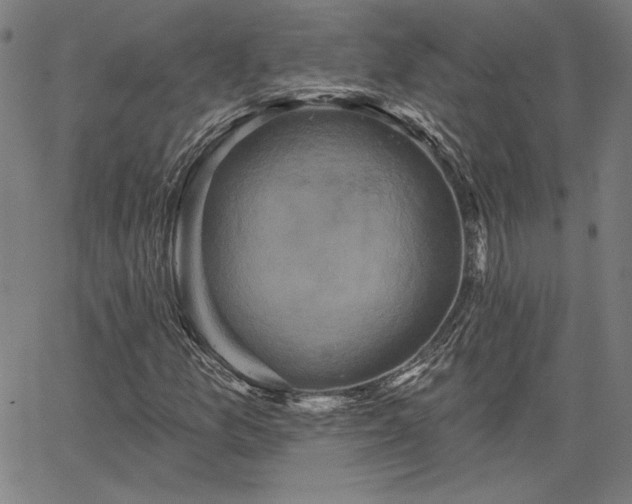 X0000067881157200604201236