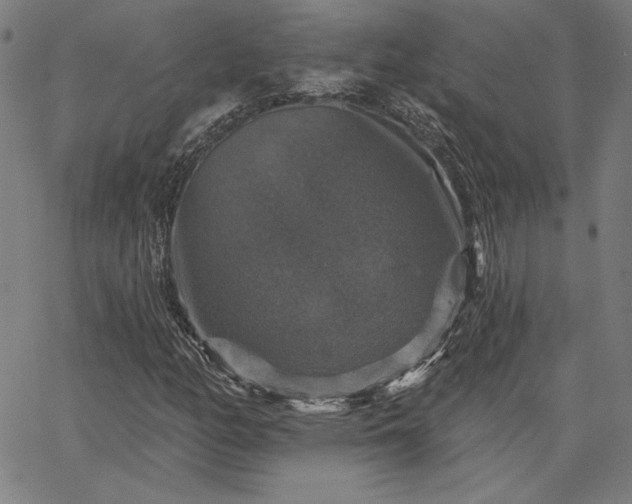 X0000067881158200604201236