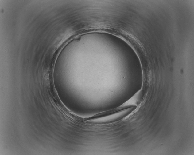 X0000067881162200604201236
