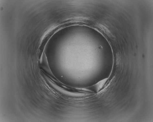 X0000067881164200604201236