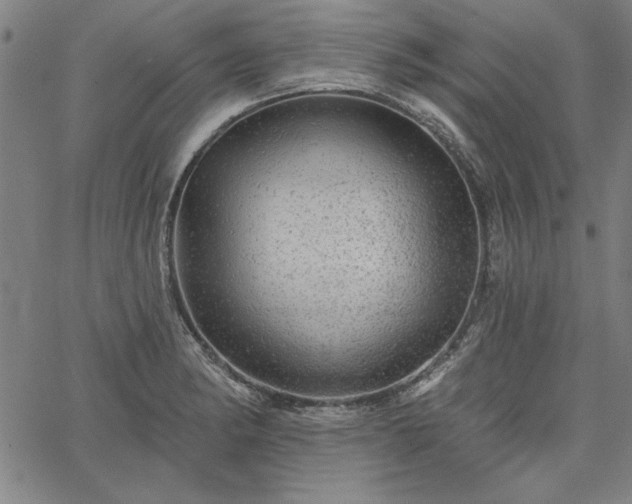 X0000067881182200604201236