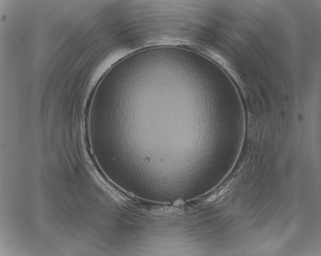 X0000067881187200604201235
