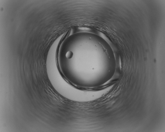 X0000067881202200604201234