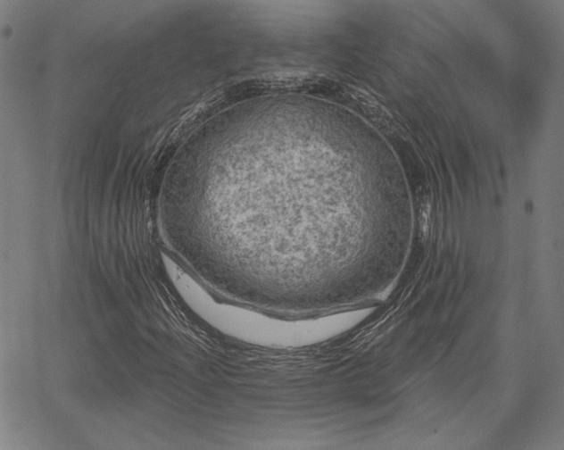 X0000067881204200604201234