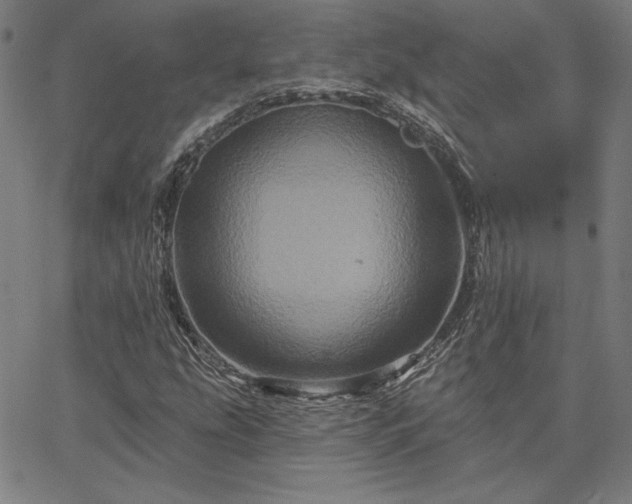 X0000067881207200604201235
