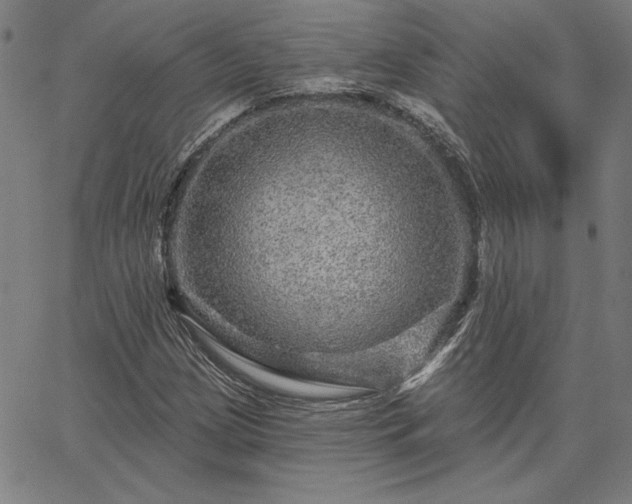 X0000067881209200604201235