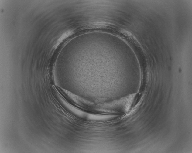 X0000067881210200604201235