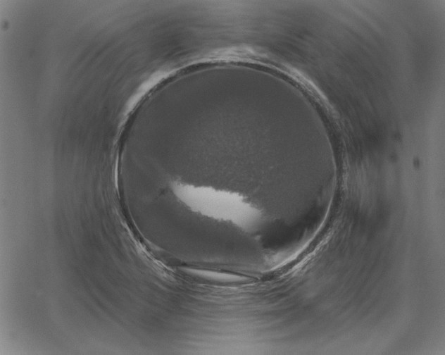 X0000067881224200604201235