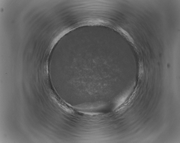 X0000067881226200604201235
