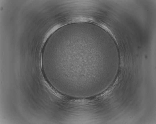X0000067881227200604201235