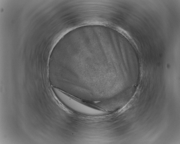 X0000067881236200604201235