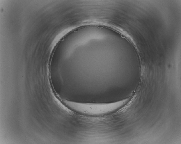 X0000067881239200604201235