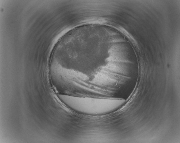 X0000067881240200604201235