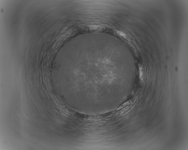 X0000067881249200604201234