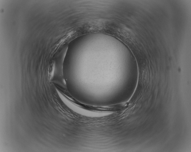 X0000067881250200604201234