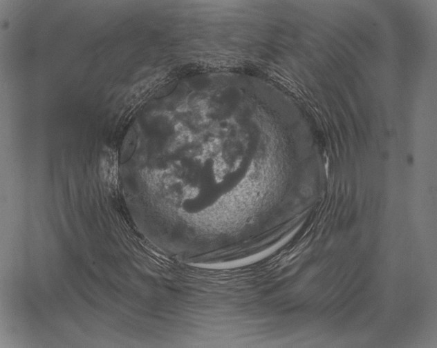 X0000067881251200604201234