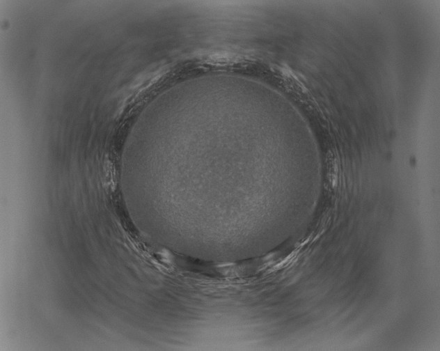 X0000067881253200604201234