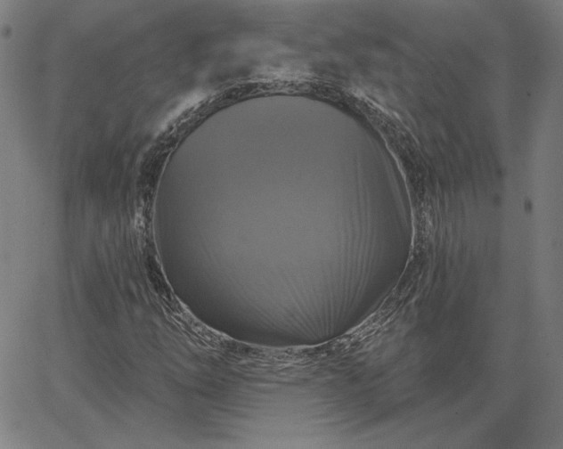 X0000067881254200604201234