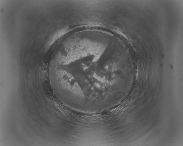X0000067881255200604201234