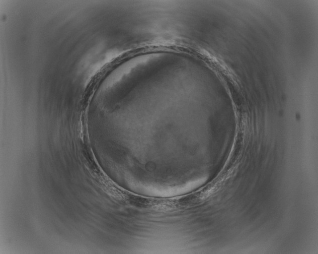 X0000067881262200604201234