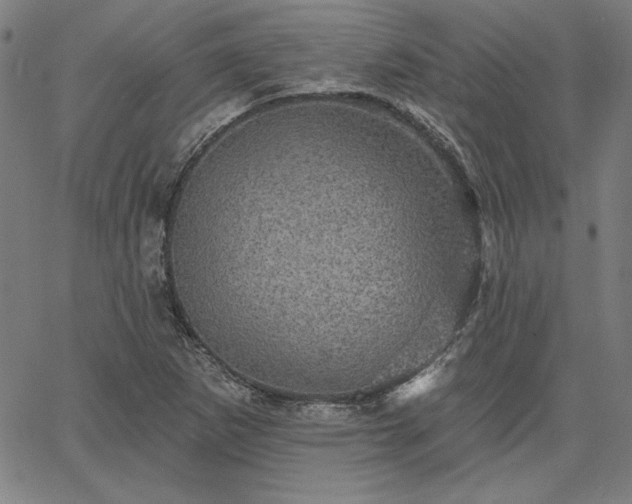X0000067881265200604201234