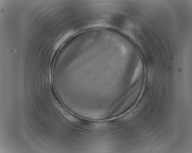 X0000067881274200604201234