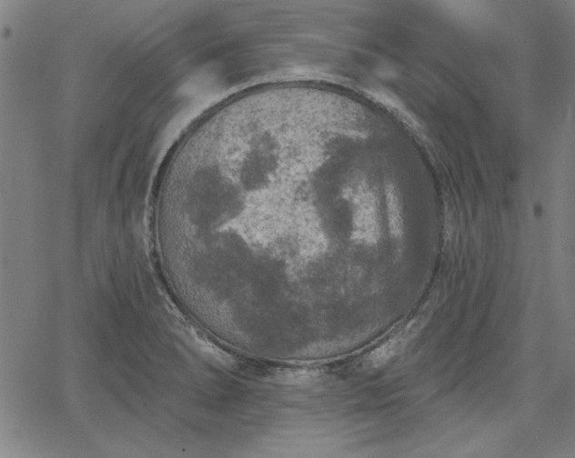X0000067881278200604201234