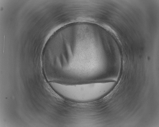 X0000067881280200604201234