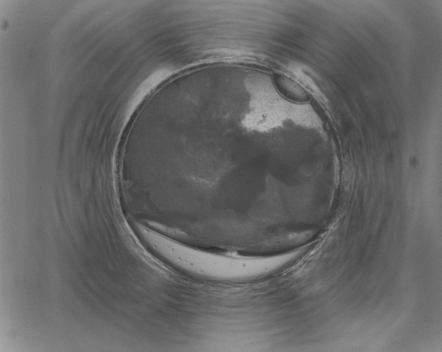 X0000067881283200604201234