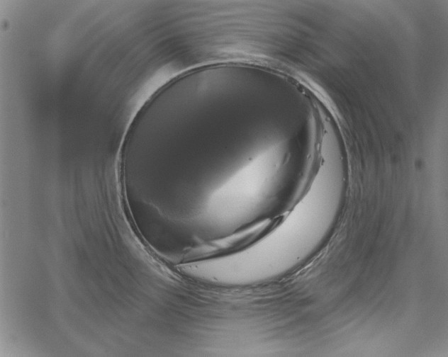 X0000067881291200604201234