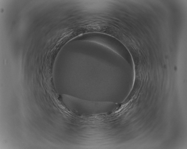 X0000067881297200604201233